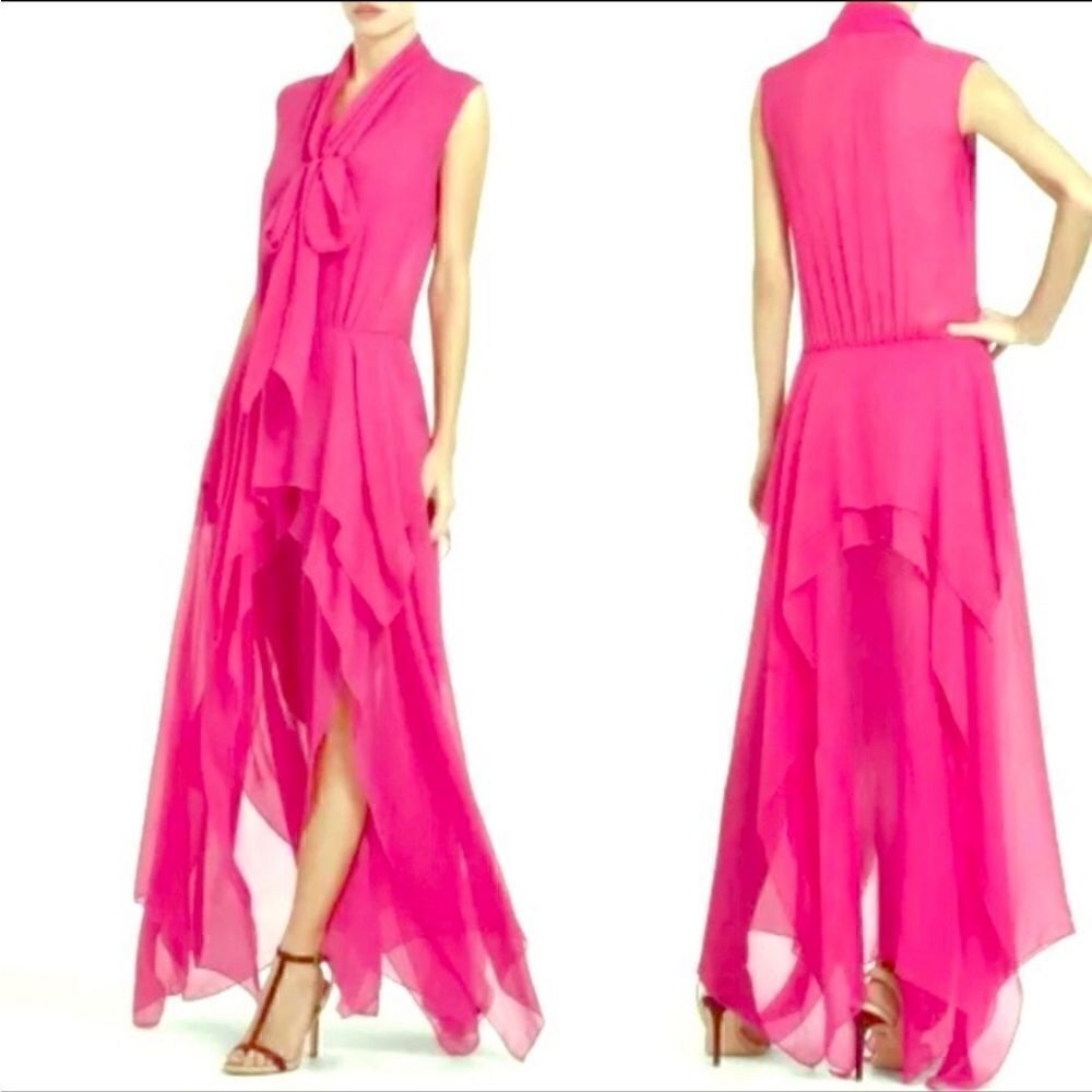 BCBG Basha Long SheerDress XS